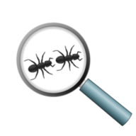Antkeeping.info logo