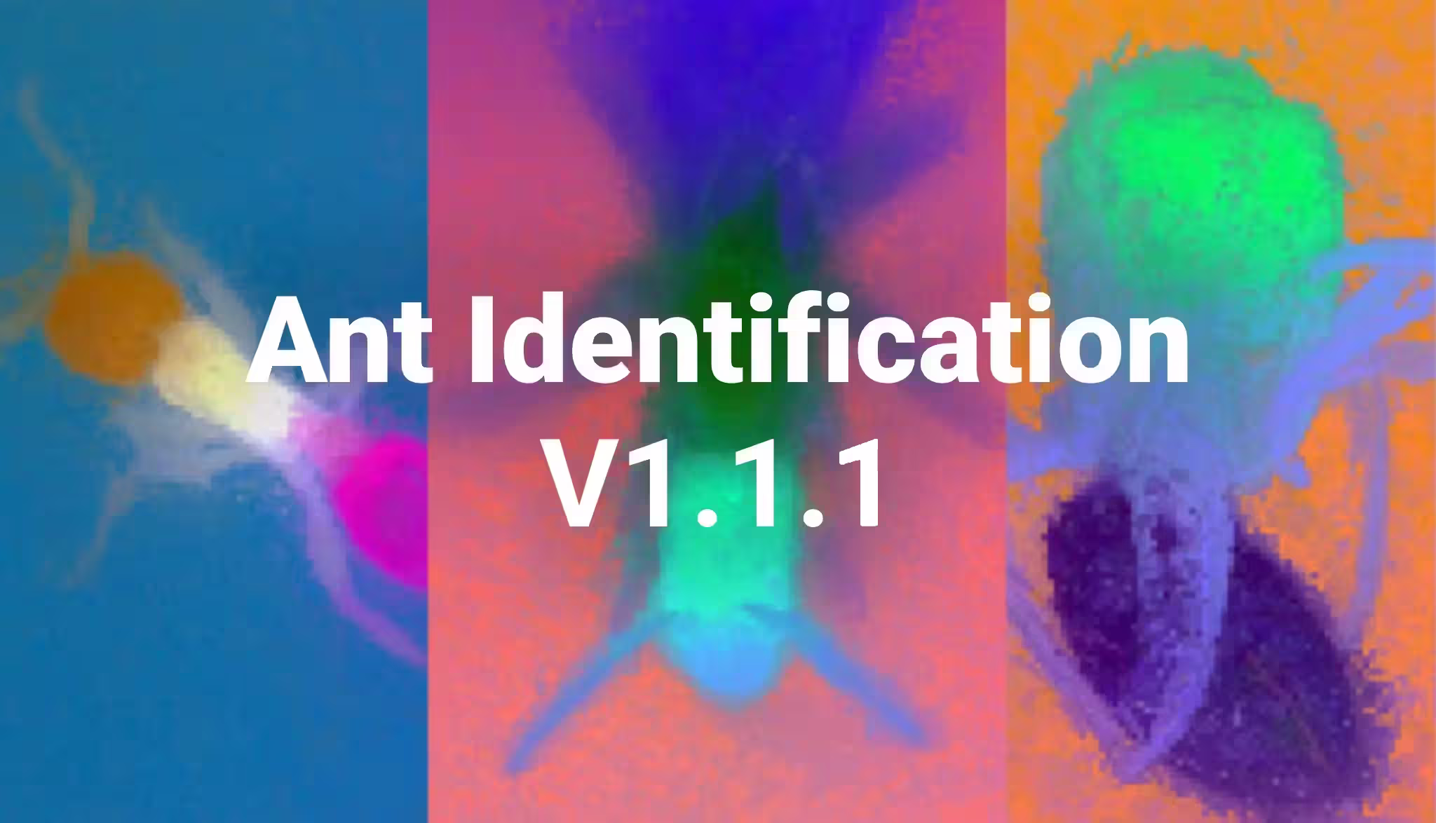Identification Model v1.1.1 - Minor Update with Benchmark Improvements